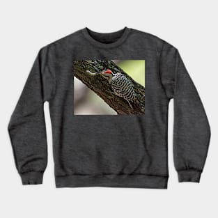 Ladder-Backed Woodpecker and Caterpillar Crewneck Sweatshirt